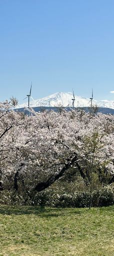Hamadate Park-由利本庄市