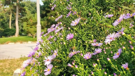 山東省北方植物園