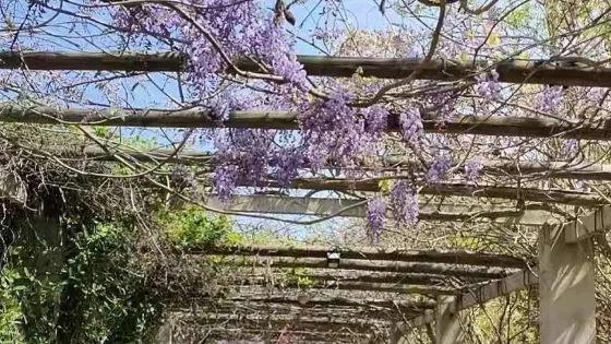 卧龍生態園