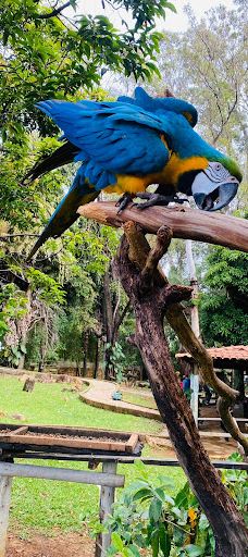 Chapada Imperial-Brazlandia