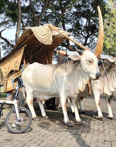 普沃雷佐中央公园-普沃勒佐