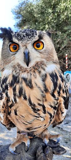 La Pequeña África-加的斯省