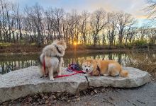 Aux Sable Springs Park景点图片