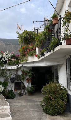 Capileira-卡皮雷拉