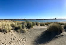 Waikuku Beach景点图片