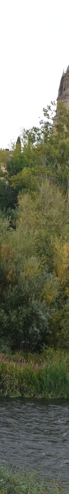 罗马古桥-萨拉曼卡