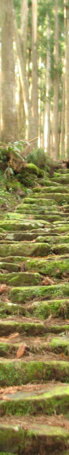 Kumano Kodo Kan Pilgrimage Center-田边市