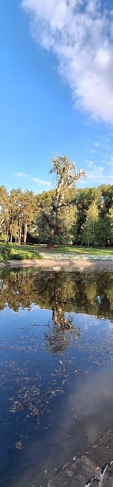 Danube Park-诺维萨德