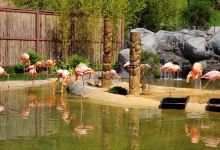 Essex County Turtle Back Zoo景点图片