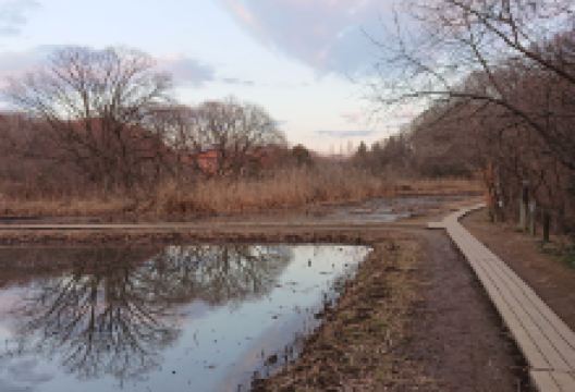 北本自然观察公园景点图片