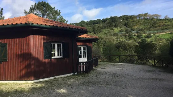 Centro De Recuperacao Do Lobo Iberico