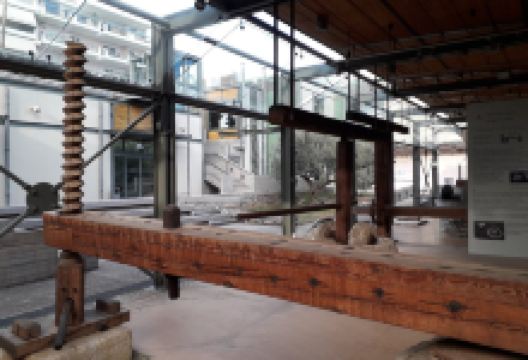 Museum of the Olive and Greek Olive Oil景点图片