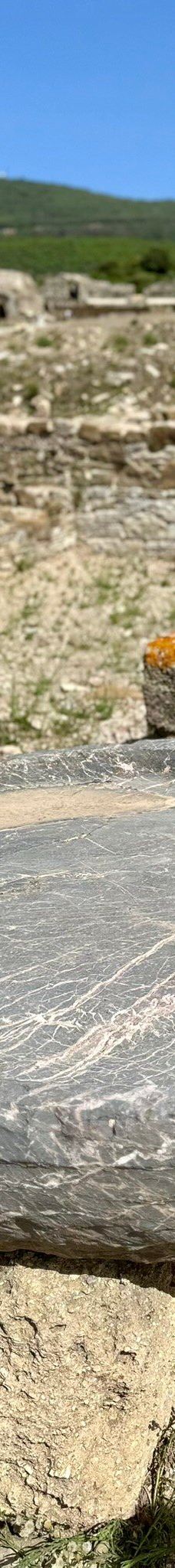 巴埃洛克劳狄亚-塔里法