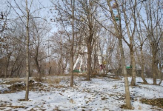 Central Park景点图片