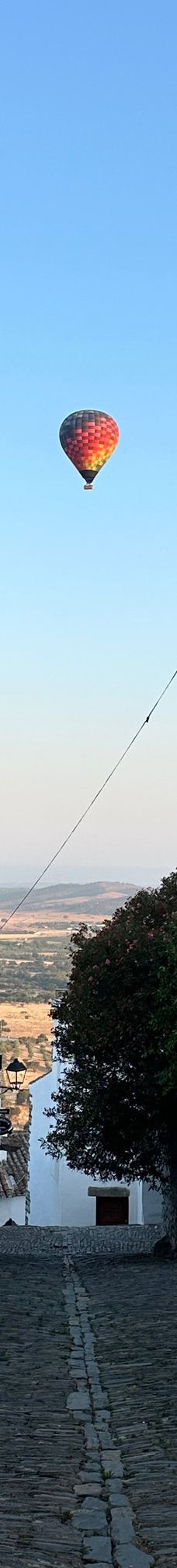 Monsaraz Castle-蒙萨拉什