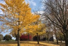 Hyakkadai Park景点图片