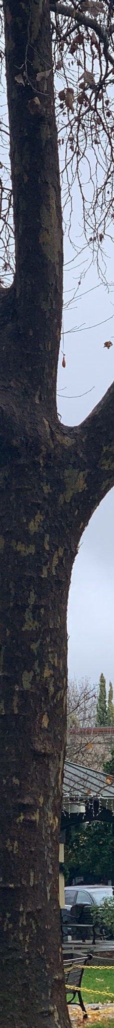 Healdsburg Plaza-希尔兹堡