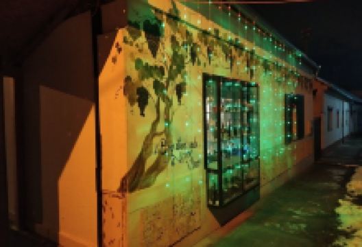 Vinarija Kis景点图片