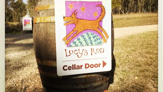Lucy's Run Wines