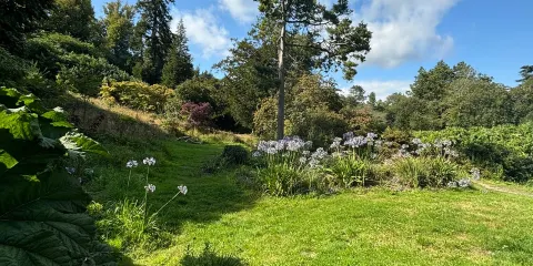 Minterne Gardens