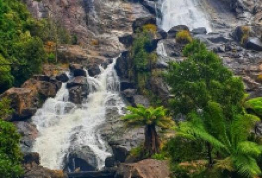 St Columba Falls Track景点图片