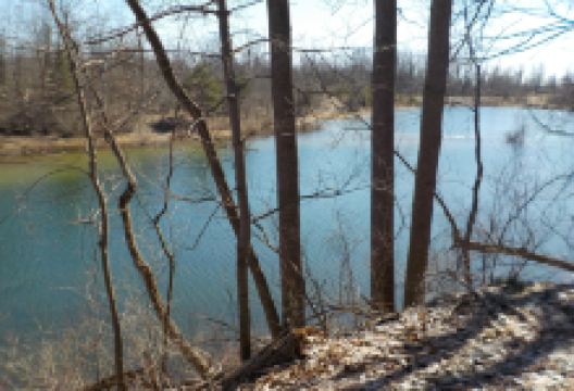 Tillman Road Wildlife Management Area景点图片