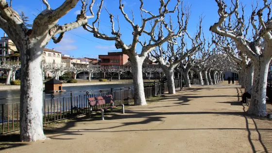 Parque Del Terrall