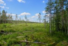 Tiilikkajärven Kansallispuisto景点图片