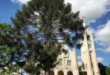 Igreja São Roque景点图片