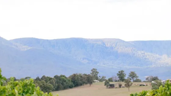Bulong Estate