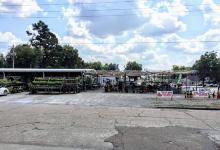 Worley's Lawn & Garden Center购物图片