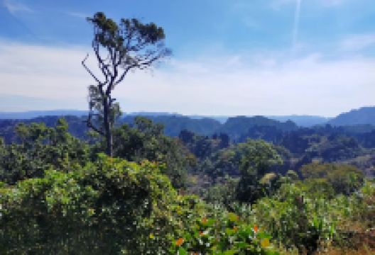 Limestone Forest (Hin Boun) Viewpoint景点图片