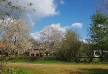 Boerencamping Remmelink景点图片