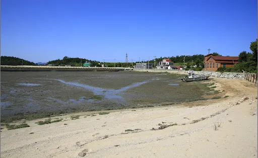 炭島