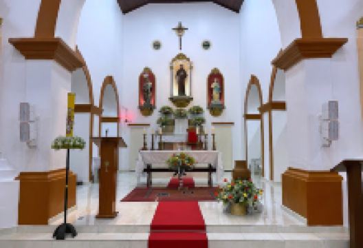 Igreja Matriz de São Francisco de Assis景点图片