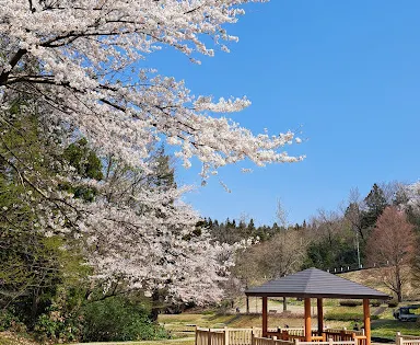 Shirasagi Forest Park