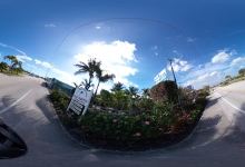Blue Water Garden Center购物图片
