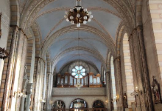 Franciscan Church景点图片