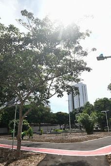 Bosque das Mangueiras-纳塔尔