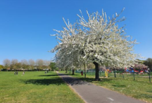 Old Heath Recreation Ground景点图片