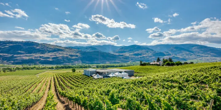 Black Hills Estate Winery