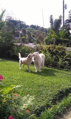 Finca Cantaros-圣维托