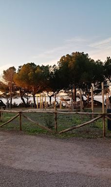 Spiaggia di Is Figus-诺拉