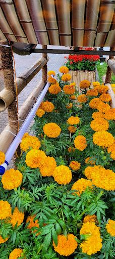 công viên Di Lăng-山河县