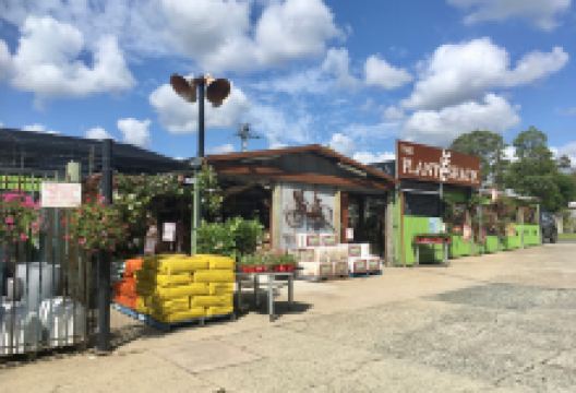 The Plant Shack购物图片