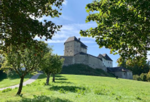 Burg Mannsberg景点图片