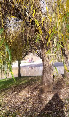 Concordia Park-洛格罗尼奥