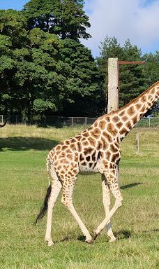 郎利特野生动物园-沃明斯特