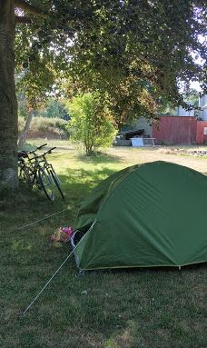 Vingaarden, Lille Gadegaard ( Vineyard )-阿克尔科拜