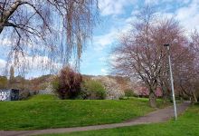 Worsbrough Dale Park景点图片